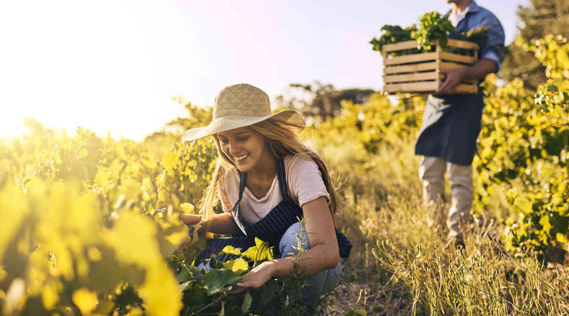 finanziamenti agricoltura